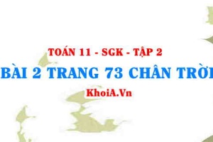 Bài 2 trang 73 Toán 11 Tập 2 Chân trời sáng tạo